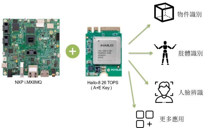 NXP i.MX 8M Plus 與 Hailo-8 架構示意圖