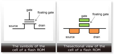 Flash ROM單元的符號,Flash ROM單元的截面圖