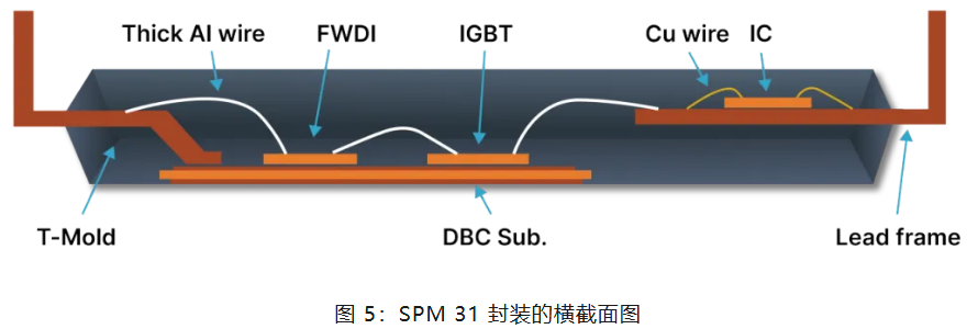 SPM 31 封裝的橫截圖