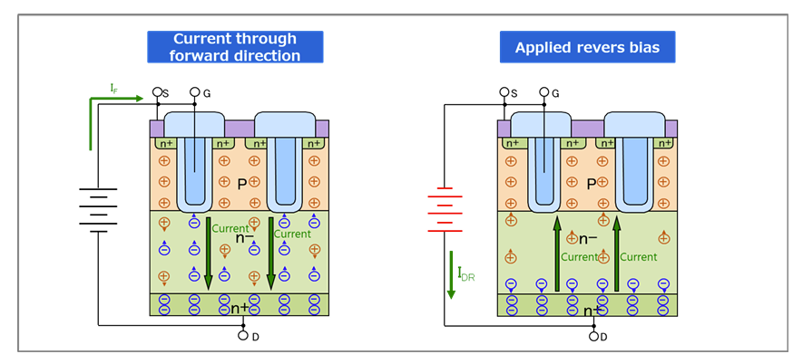 Hole and electron behavior during reverse recovery mode