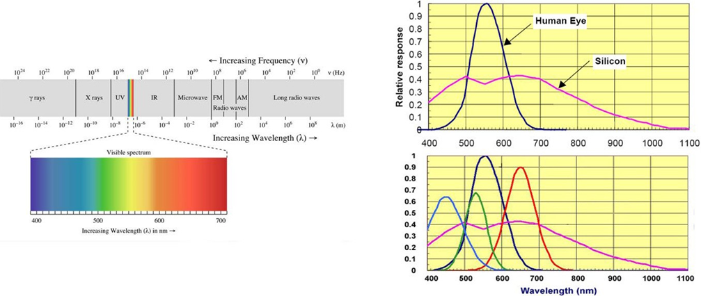 圖 3. 電磁頻譜--人眼與矽傳感器的對比